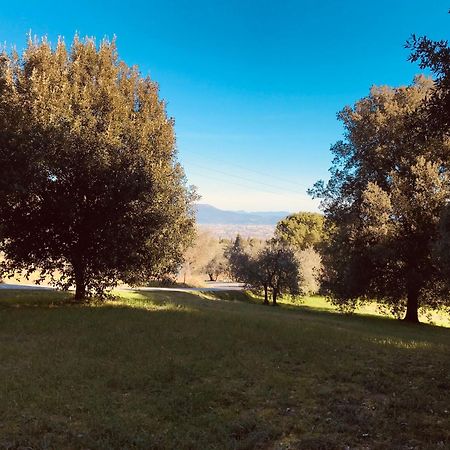 La Residenza Dei Piaceri Perduti- Le Volte Apartment Lastra a Signa Bagian luar foto