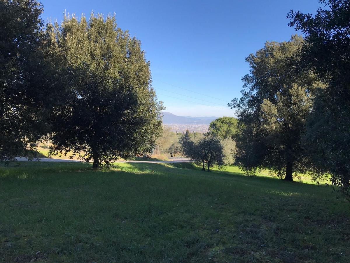 La Residenza Dei Piaceri Perduti- Le Volte Apartment Lastra a Signa Bagian luar foto