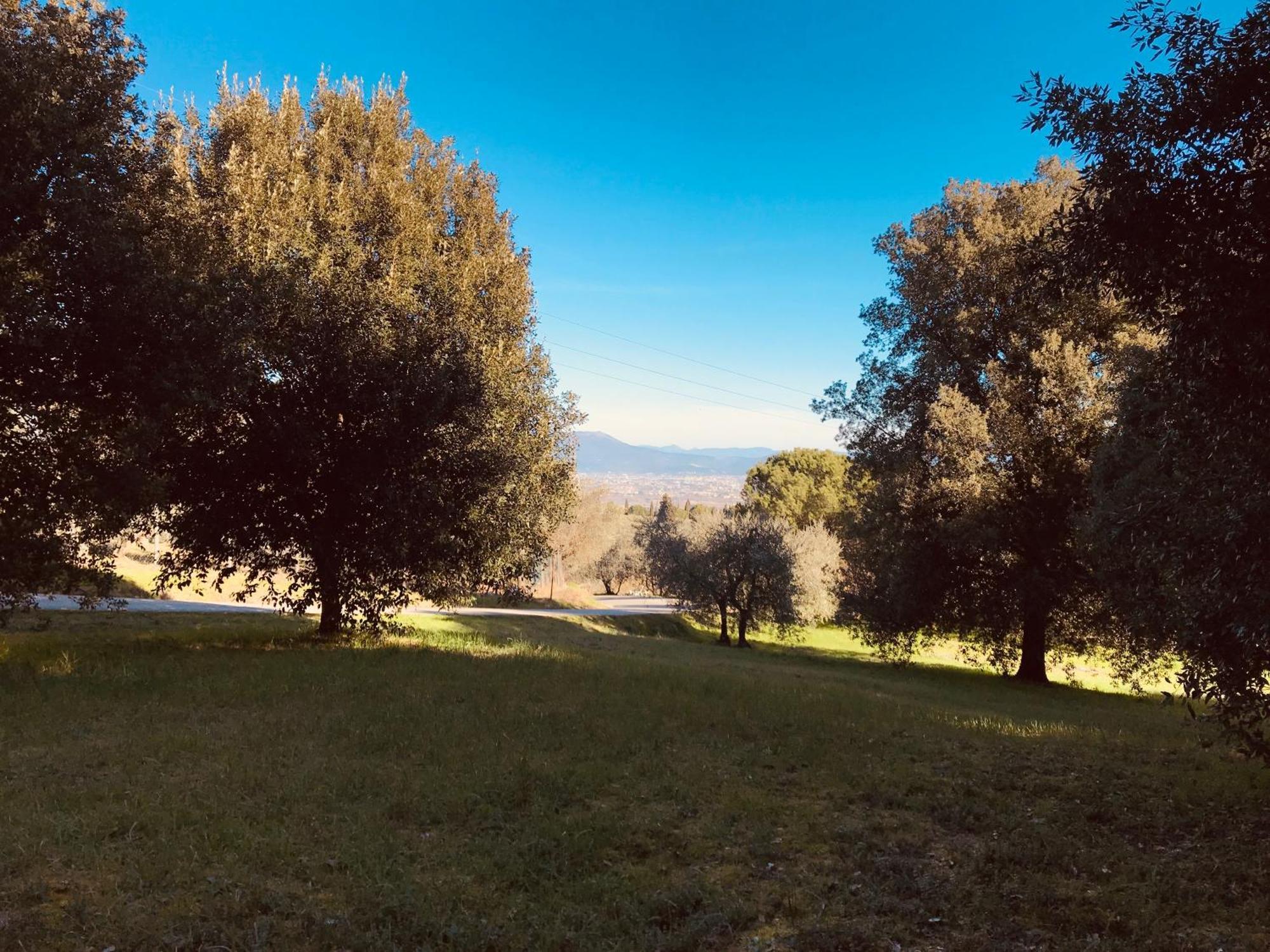 La Residenza Dei Piaceri Perduti- Le Volte Apartment Lastra a Signa Bagian luar foto